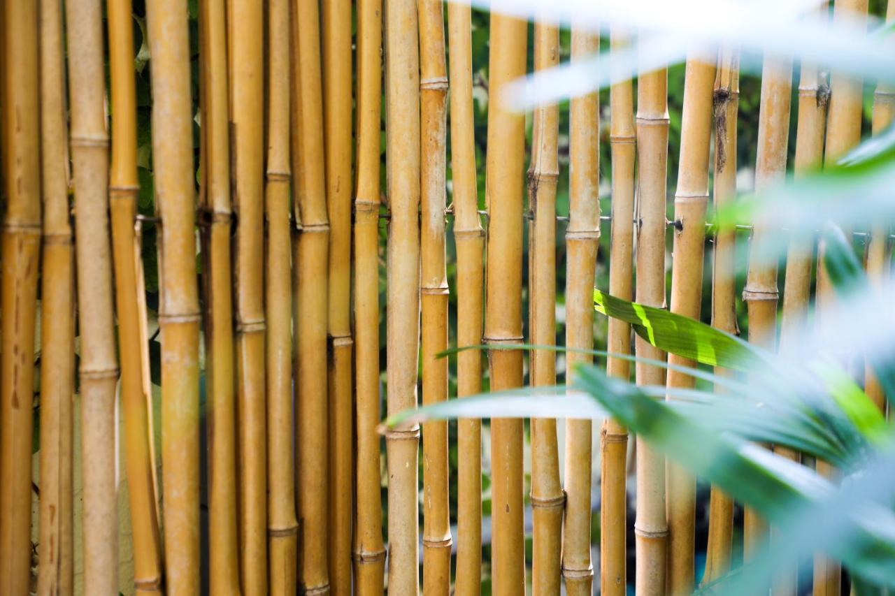 Almond Tree Inn - Adults Only Key West Eksteriør bilde