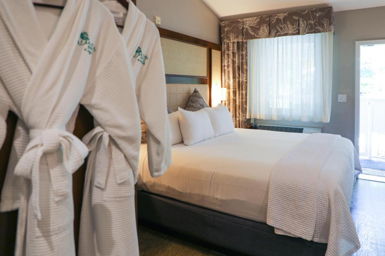 Almond Tree Inn - Adults Only Key West Rom bilde
